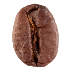 Aceite natural de Café para la elaboración de jabones