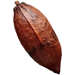 Extracto natural de cacao para jabón, shampoo y acondicionador artesanales.